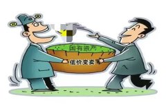 厂领导在企业改制中涉嫌低价变卖国有资
