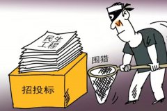 民生项目招标存在违规制定招标文件和内